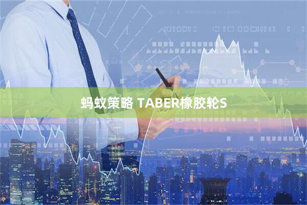 蚂蚁策略 TABER橡胶轮S