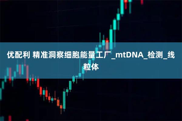 优配利 精准洞察细胞能量工厂_mtDNA_检测_线粒体